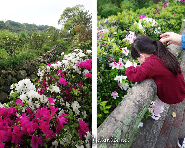 Spring Taiwan North-Coast Romanticism Yalan雅岚文艺博客