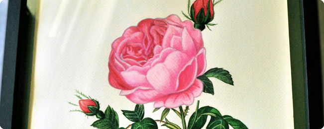 Rose Art Yalan雅嵐文藝